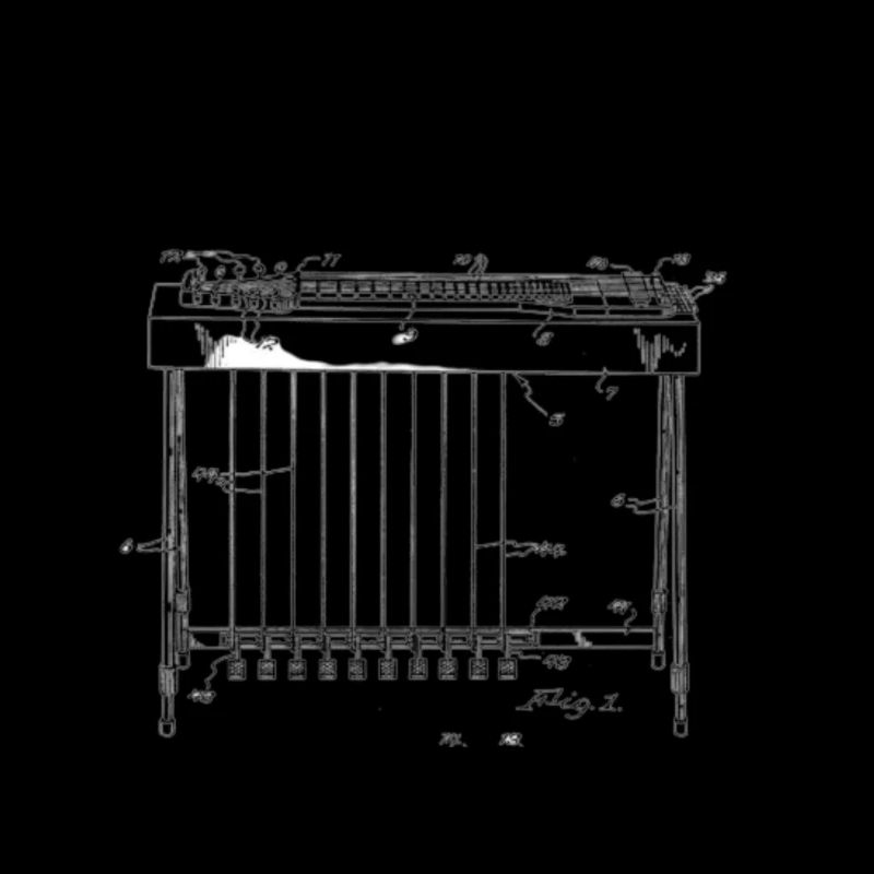 Pedal Steel Guitar