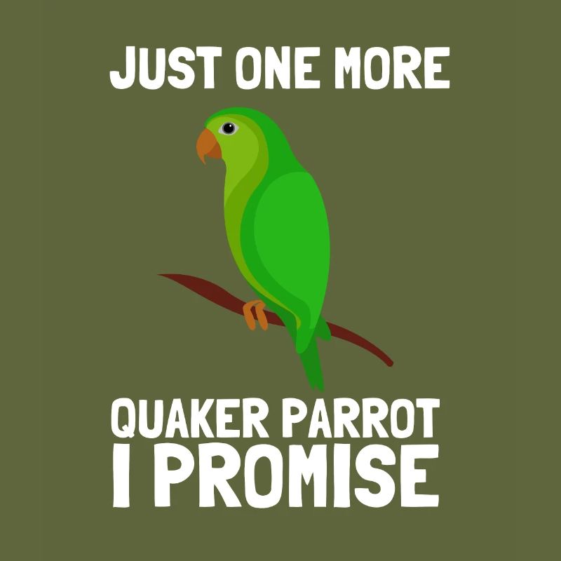 Blue Quaker Parrot Mom