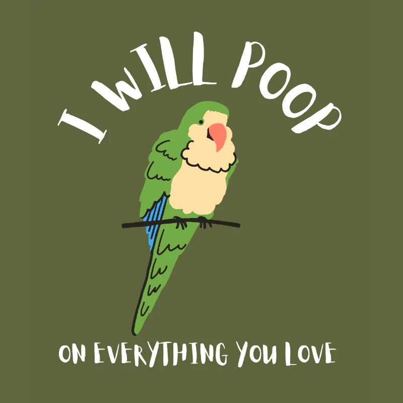 Blue Quaker Parrot Mom