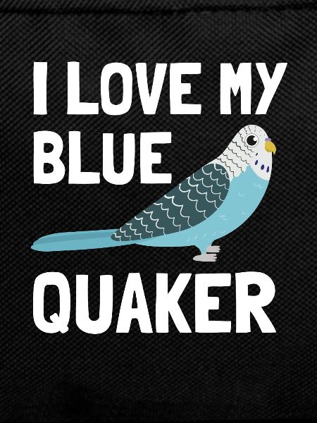 Blue Quaker Parrot Mom