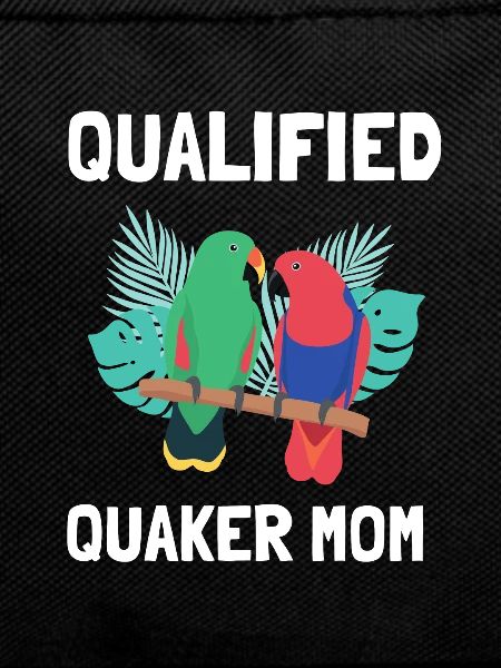 Blue Quaker Parrot Mom