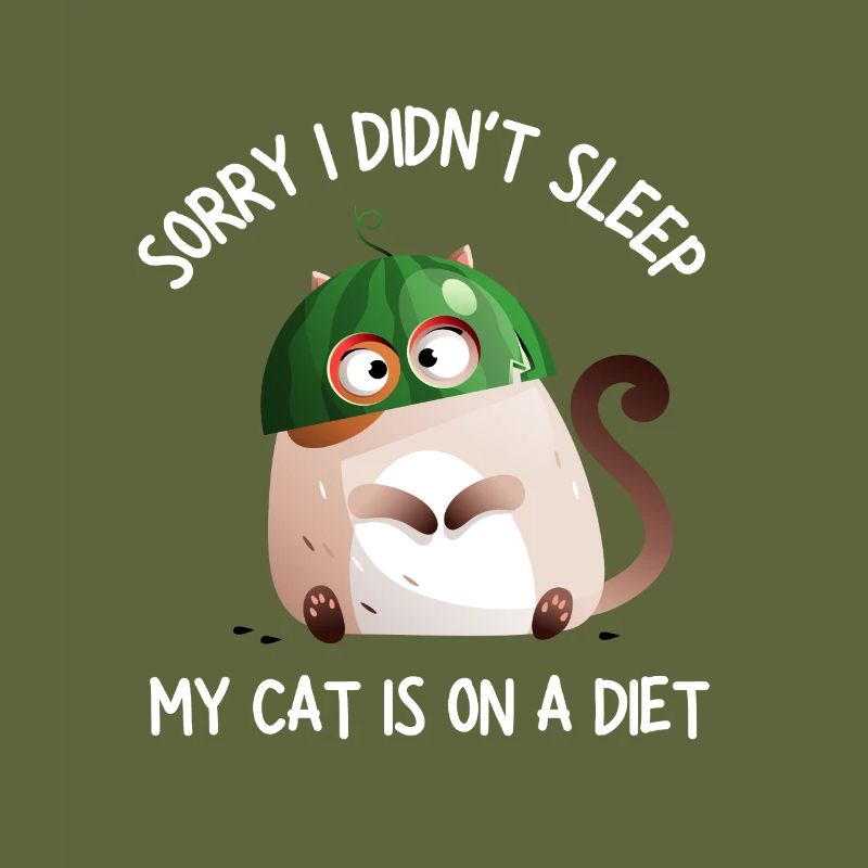 Obésité du gros chat