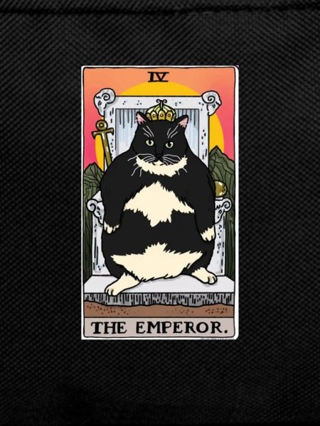 Fat Cat Obesity