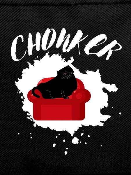Chonk Cat Obesity