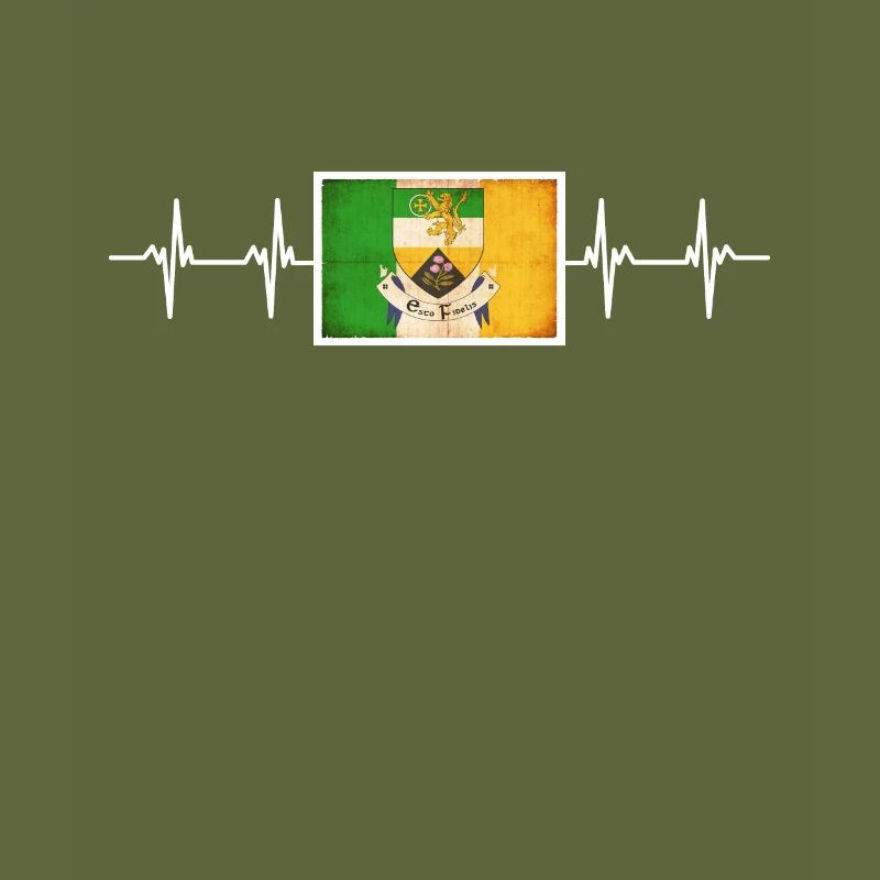 Drapeau officiel irlandais d’Irlande