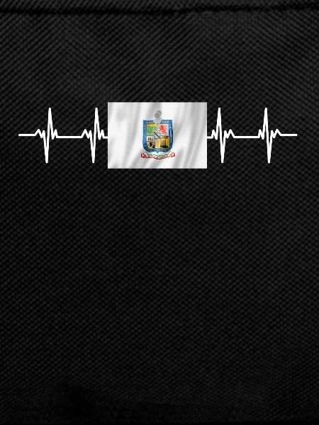 Mexican Mexico Nuevo Leon Flag