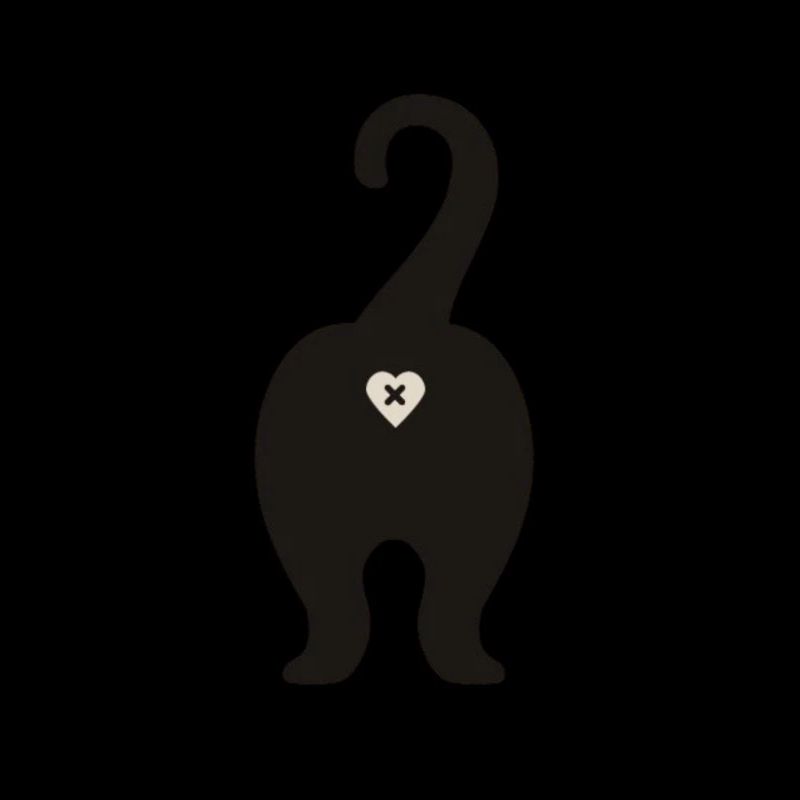 Trou de fesse de chat