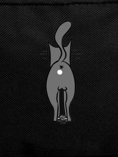 Cat Butthole