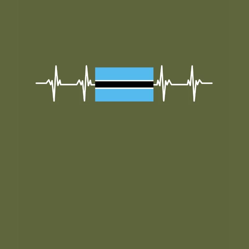 African Flag - Botswana