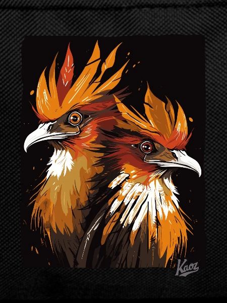 A Pair of Hoatzin Birds