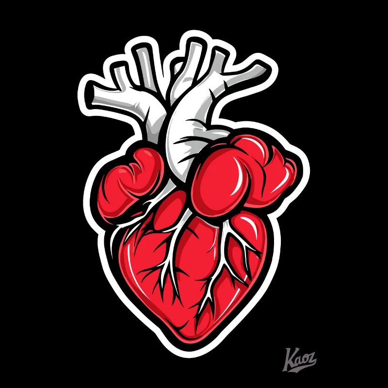 Anatomy Heart