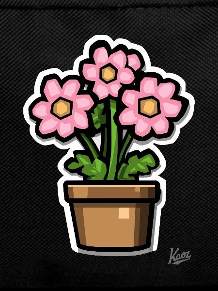 a pot of green-pink flowers