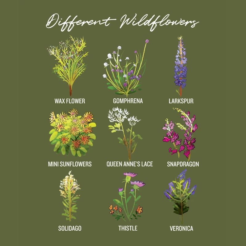 Différentes fleurs sauvages, uniques et rétro rétro