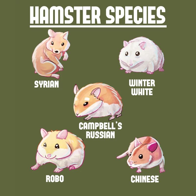Espèces de hamsters