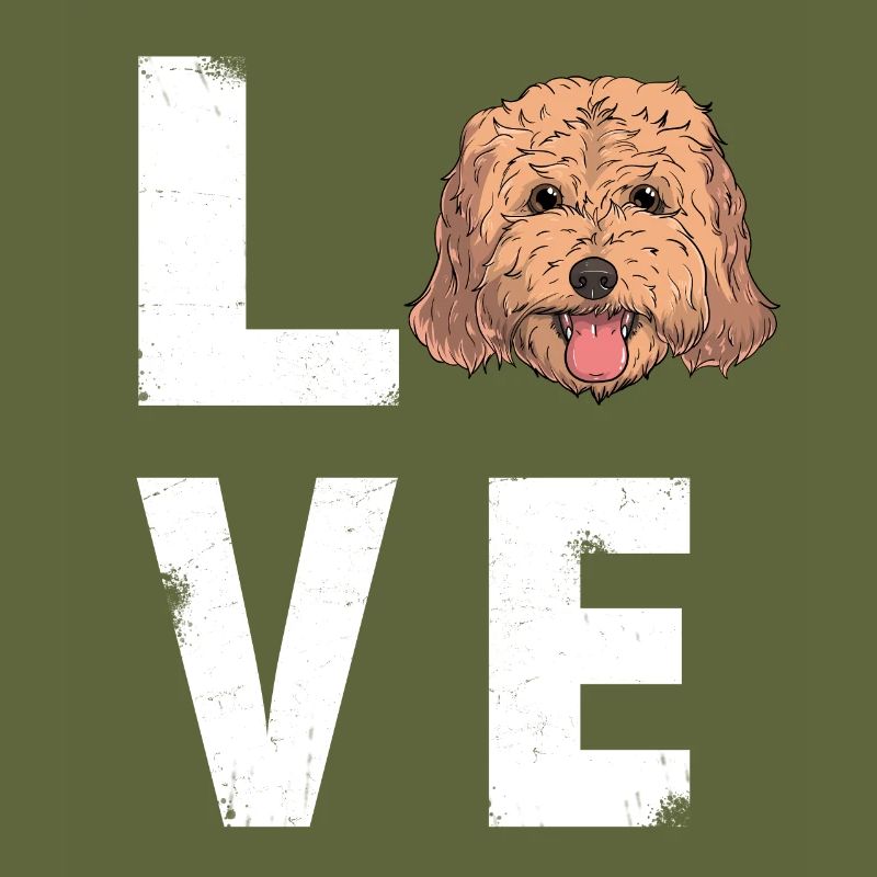 Liebe Cockapoo Hund