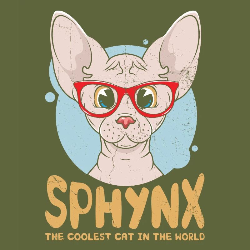 Sphynx Le chat le plus cool du monde pour Sphynx Cat