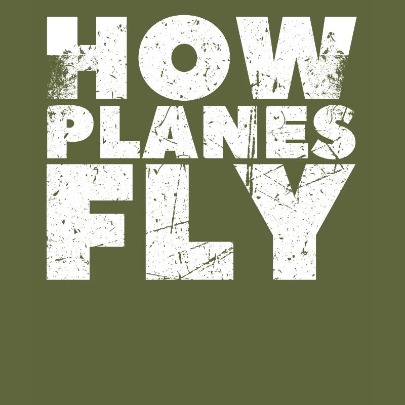 How Airplanes Fly Design for Pilots