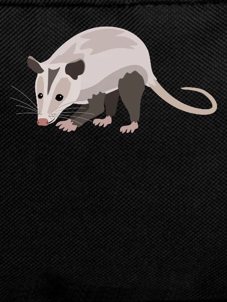 Charming Opossum Nature Friend Style