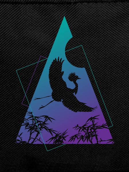 Crane Origami Geometry Creativity