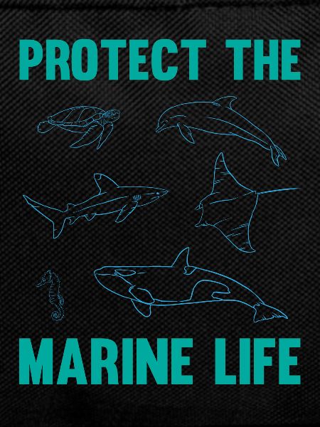 Sagittarius Marine Life Ocean Awareness