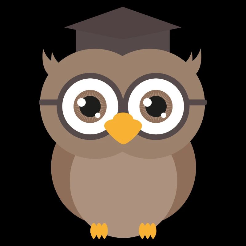 Graduation Owl