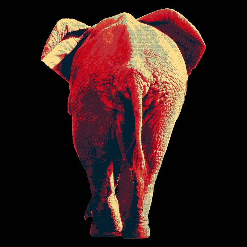 African elephant