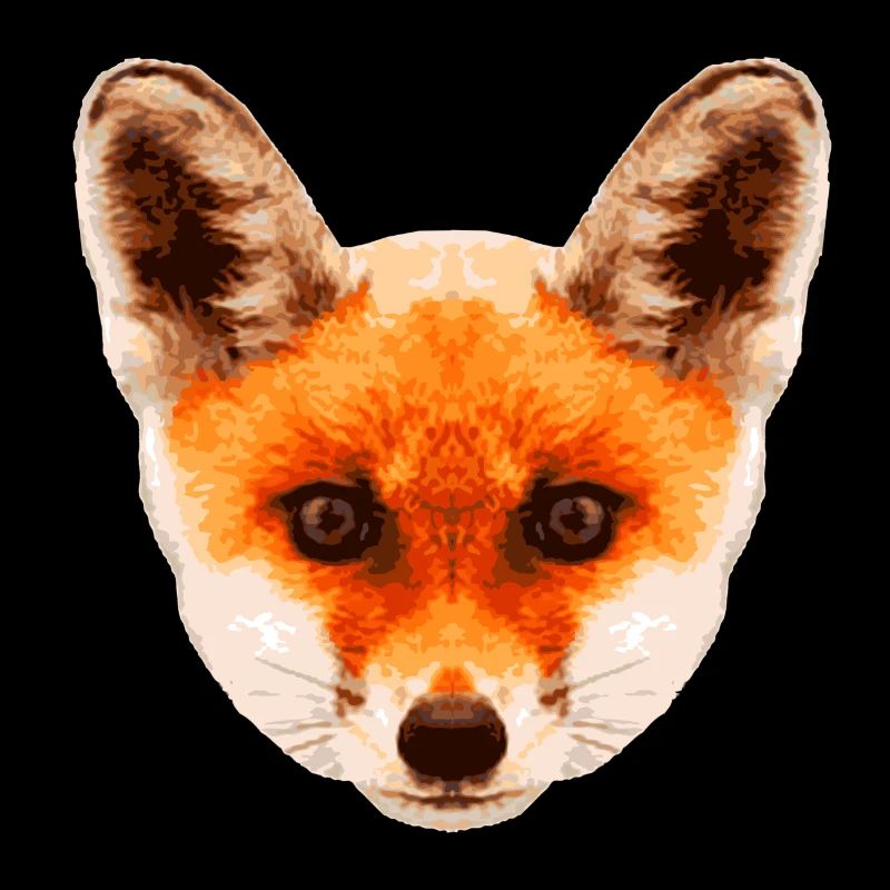 Fox baby * Foxy baby * Hypnosis fox Hypnosis fox