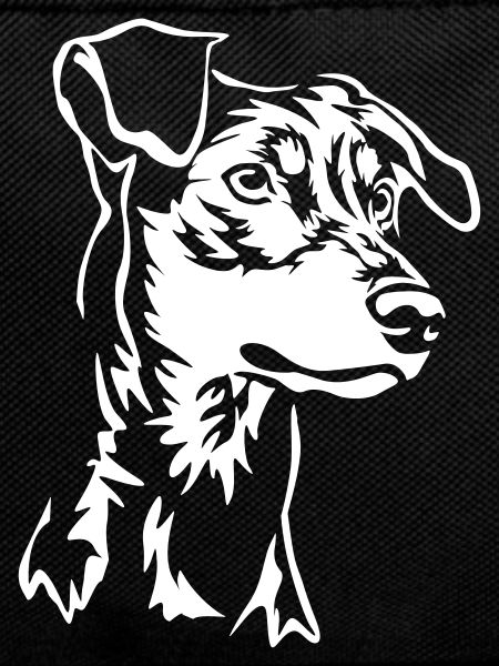 German Pinscher head "Black Edition"