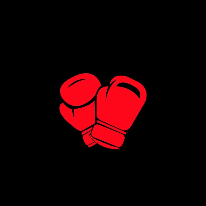 Boxer Icon