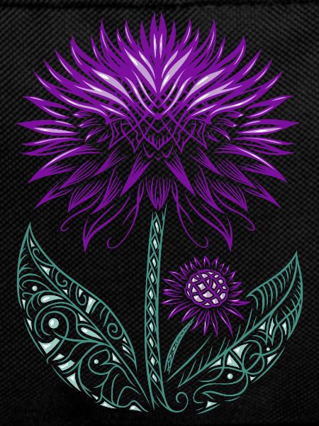Distel lila Thistle