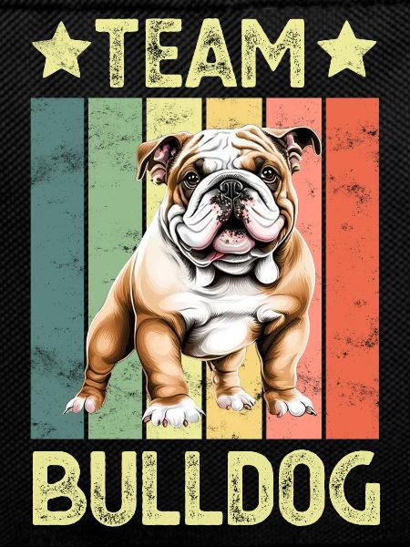 Dog English Bulldog