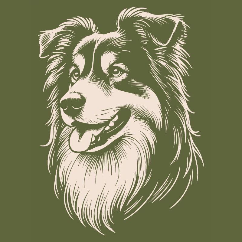 Australian Shepherd Eigenschaften