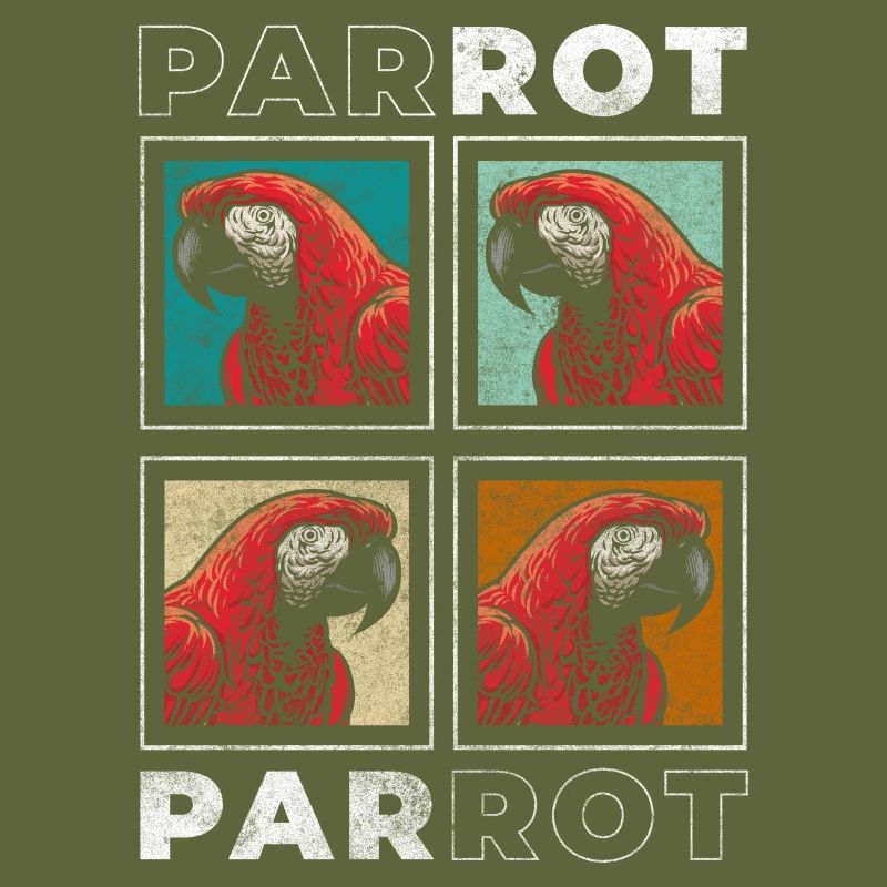 Bird Feathers Environment