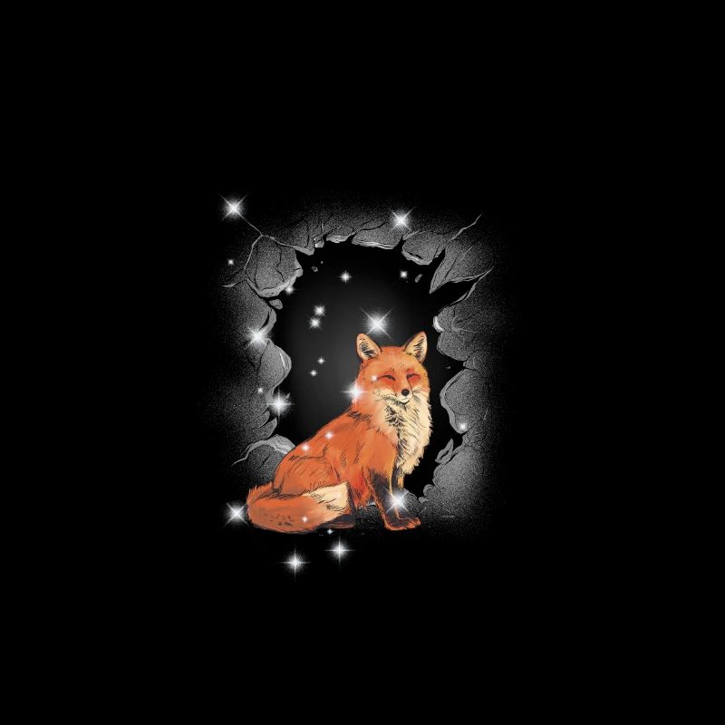 Renard Renards Renarde Conte de fées