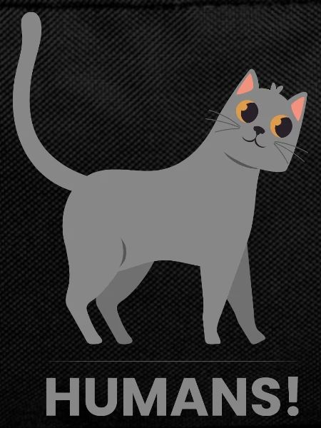 Oh meine Katze