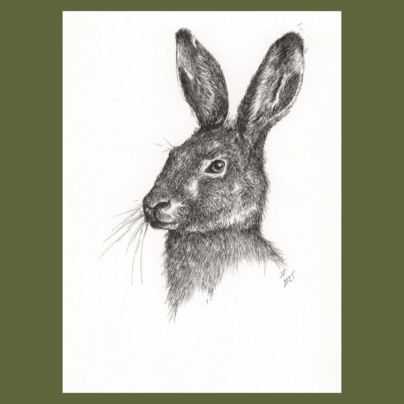 Not just another Rabbit