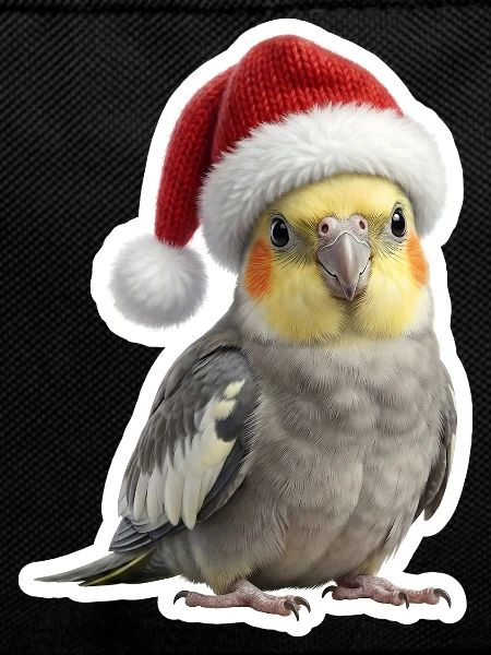 Happy cockatiel celebrates with us