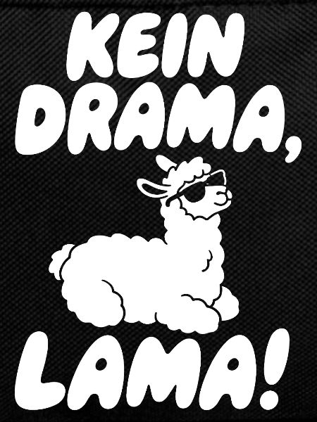 No Drama Llama Sunglasses