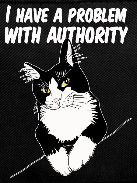 Cat Defies Authority