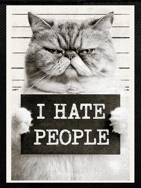 GrimmigerKater I HATE PEOPLE