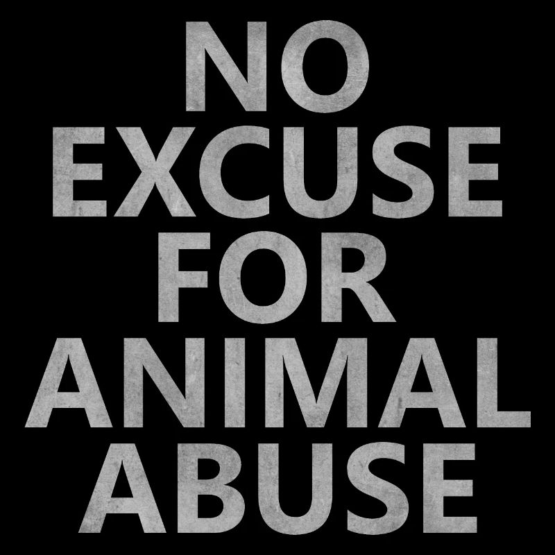 No Excuse Light