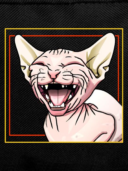 Sphynx cat laughs