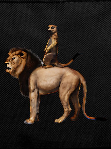 Royal Meerkat