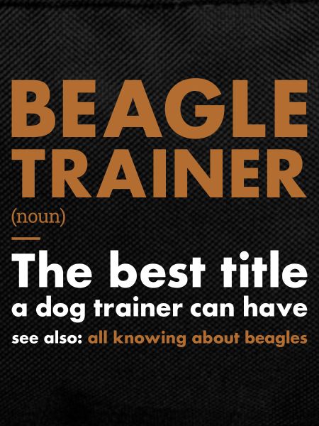 Beagle Trainer Definiton