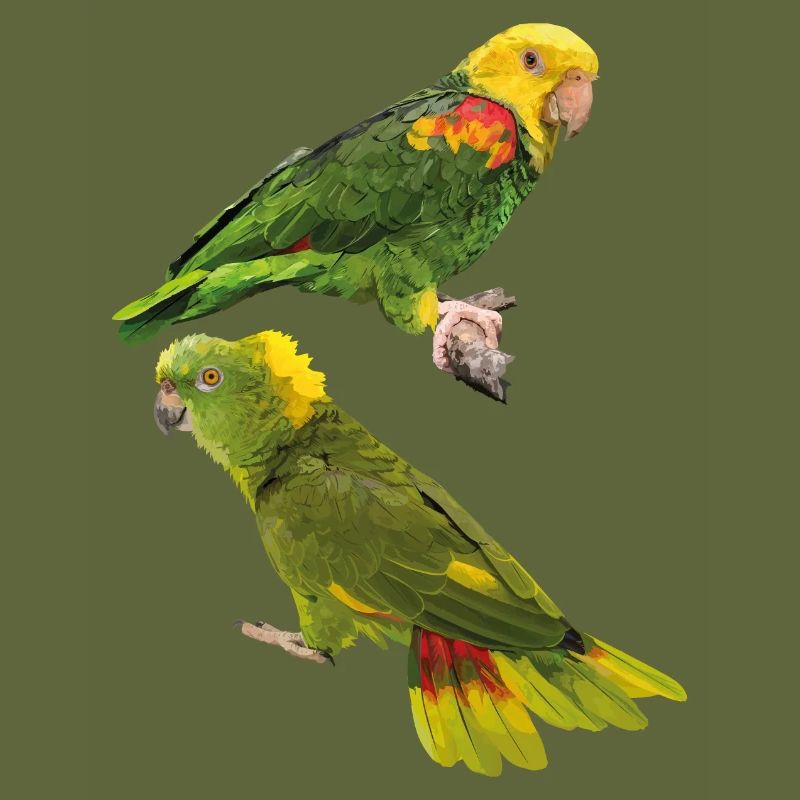 Perroquets