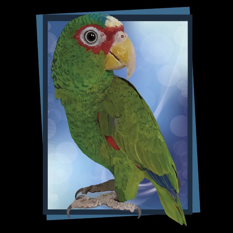 White-fronted parrot