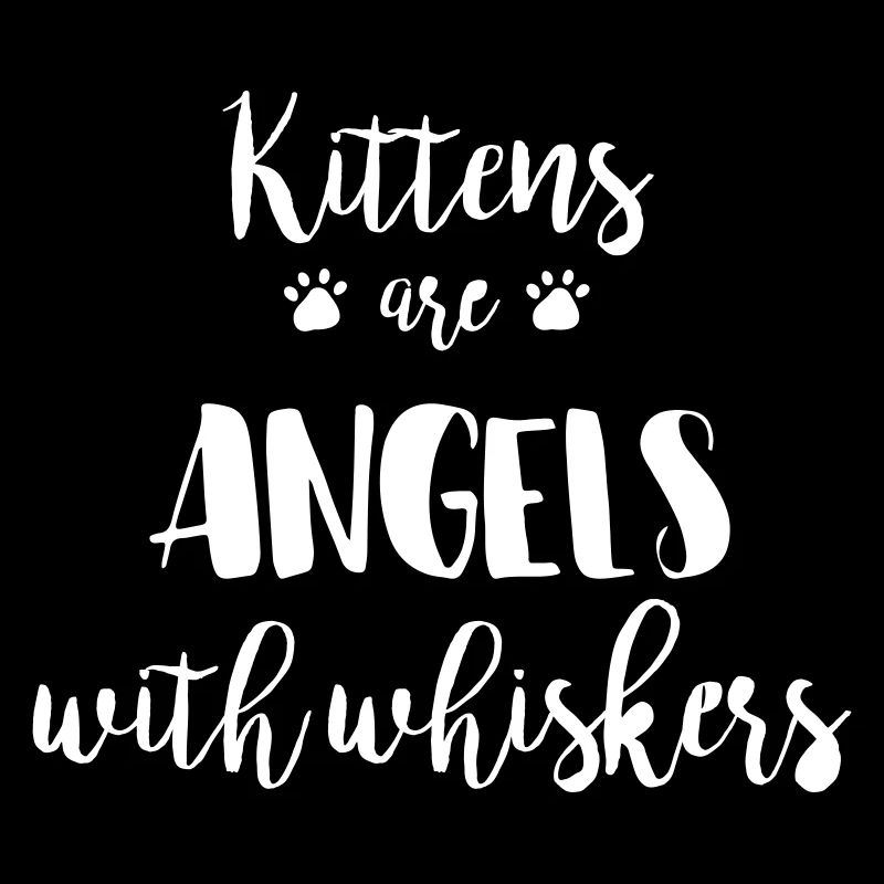 CHAT AMI CHATS AMOUR ANGE AMOUR CHAT PATTE