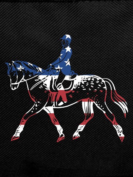 Reiner Us Flag Reining