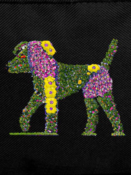 Beautiful flower dog