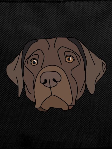 Labrador Retriever design